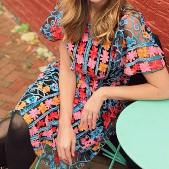 NWT ANTHROPOLOGIE Eva Ferrah Embroidered Dress - Picture 6 of 8